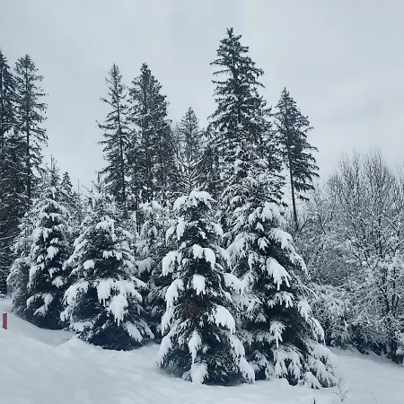 Black Diamonds Hill Villa