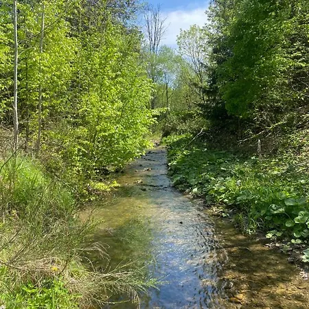 Black Diamonds Hill * Istebna