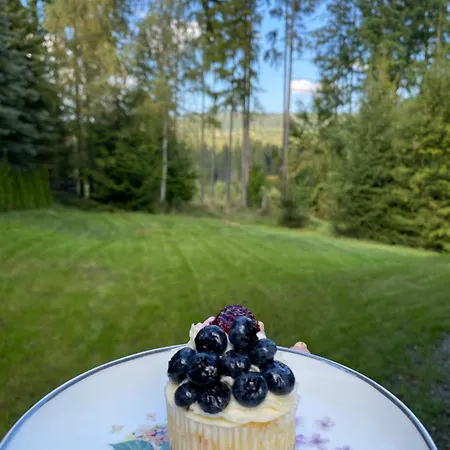 Black Diamonds Hill Βίλα Istebna