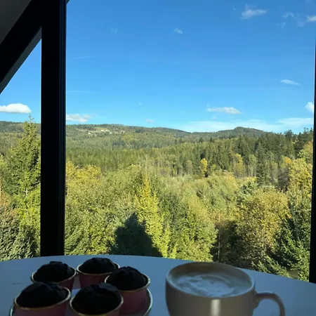 Black Diamonds Hill Villa Istebna