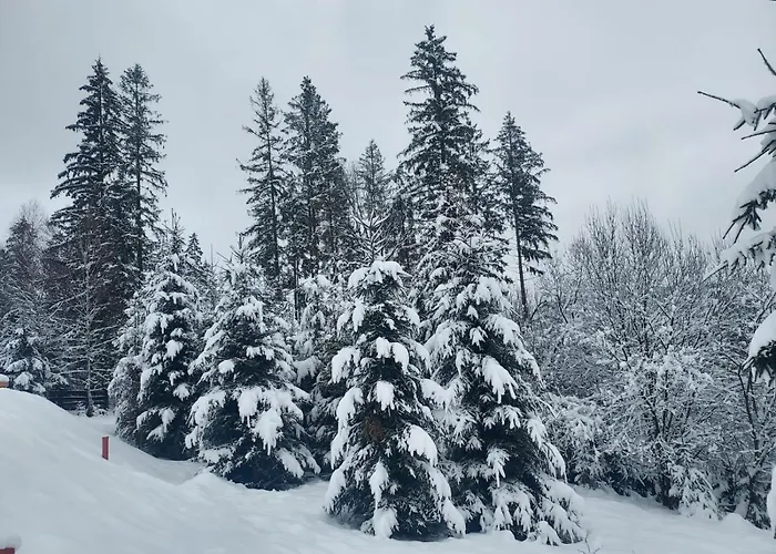 Black Diamonds Hill Villa