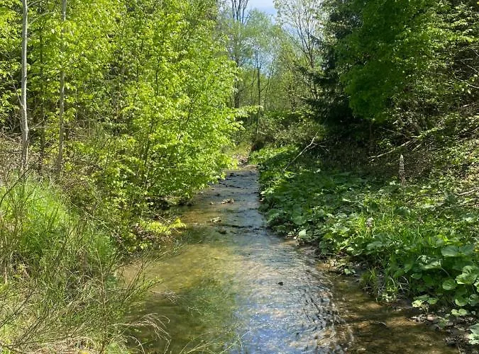 Black Diamonds Hill * Istebna