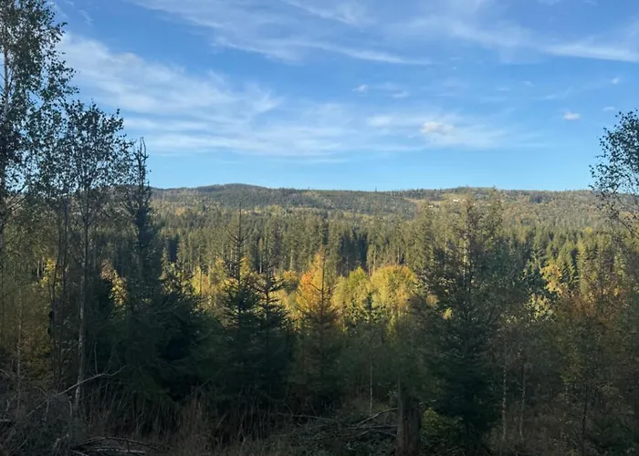 Black Diamonds Hill Istebna