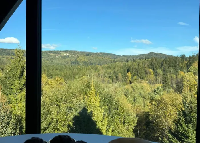 Black Diamonds Hill Villa Istebna